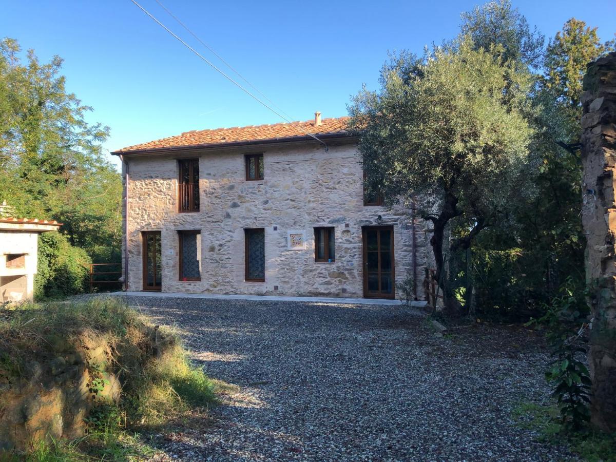 Dolce Vita In Tuscany Cottage Capannori Dış mekan fotoğraf