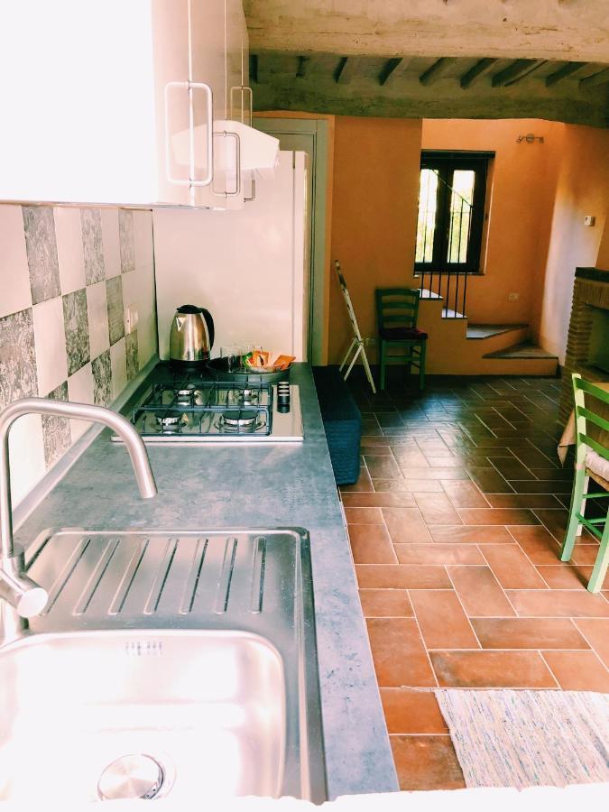 Dolce Vita In Tuscany Cottage Capannori Dış mekan fotoğraf