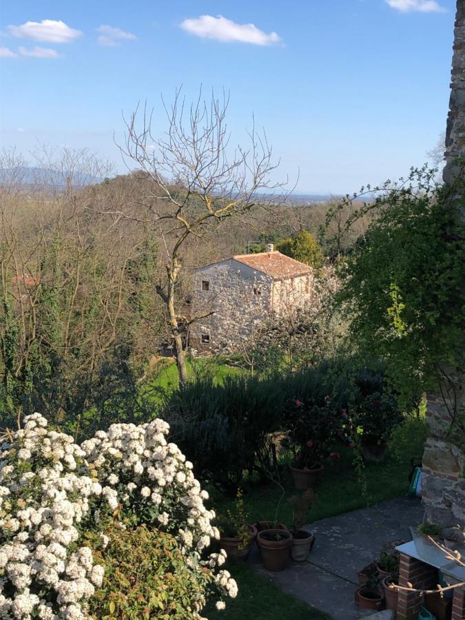 Dolce Vita In Tuscany Cottage Capannori Dış mekan fotoğraf