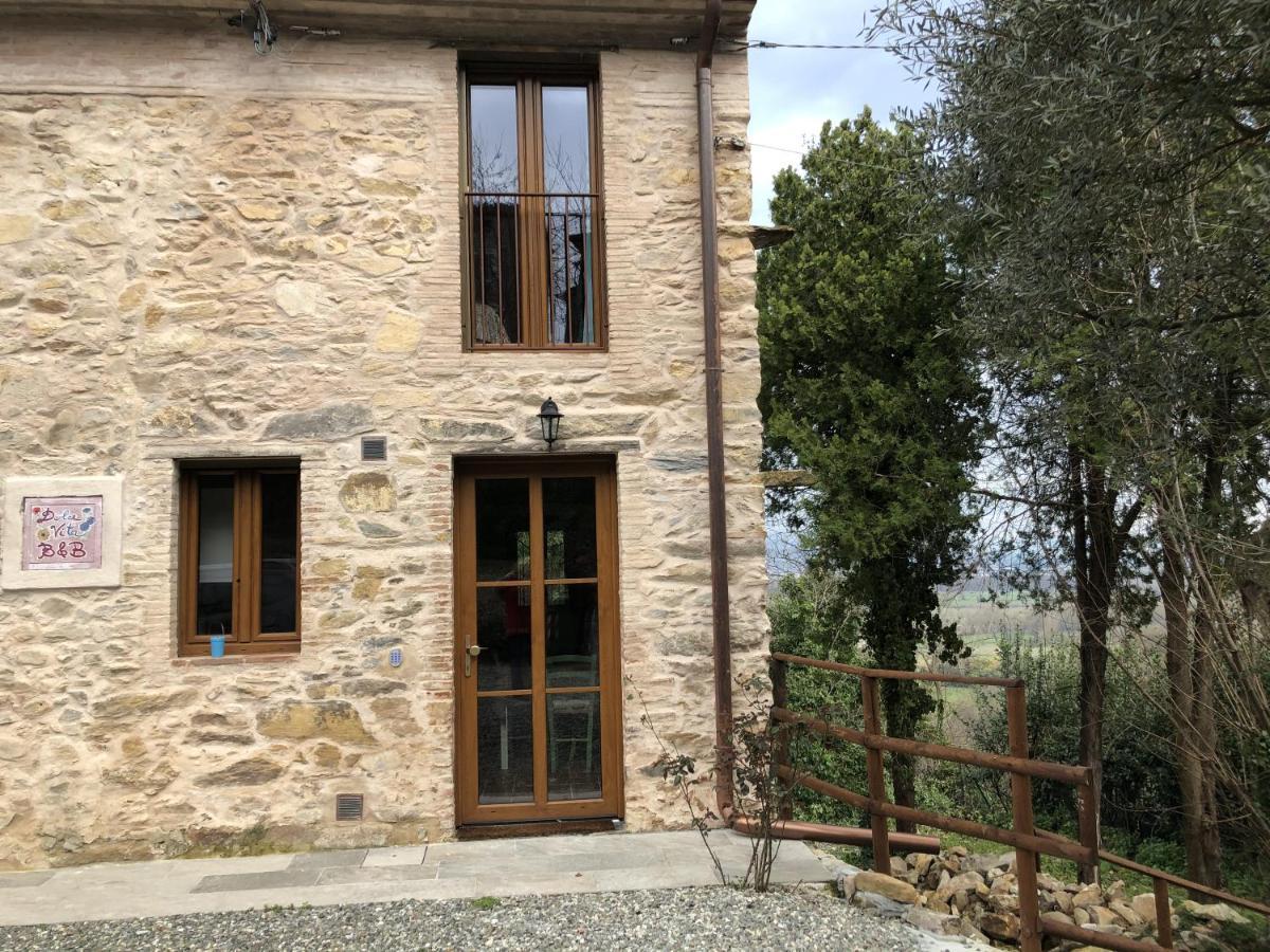 Dolce Vita In Tuscany Cottage Capannori Dış mekan fotoğraf