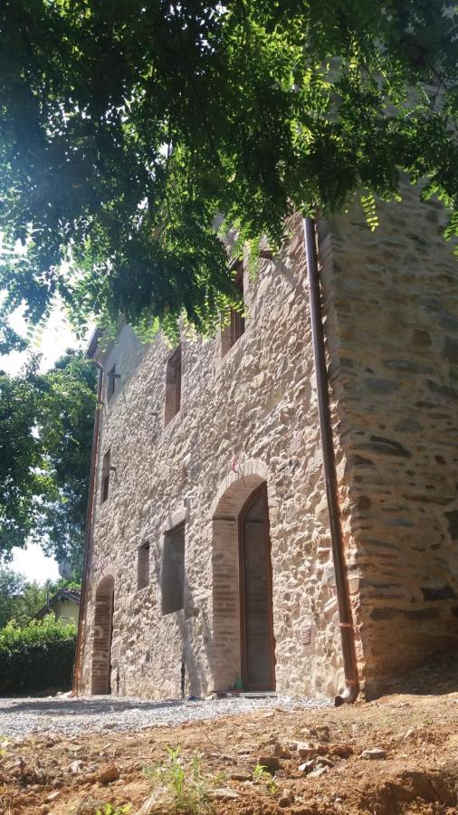 Dolce Vita In Tuscany Cottage Capannori Dış mekan fotoğraf