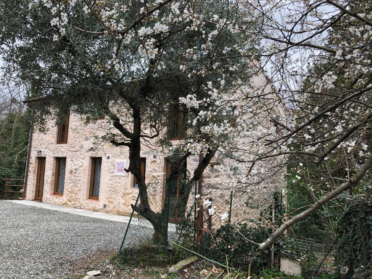 Dolce Vita In Tuscany Cottage Capannori Dış mekan fotoğraf