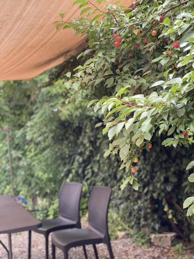 Dolce Vita In Tuscany Cottage Capannori Dış mekan fotoğraf