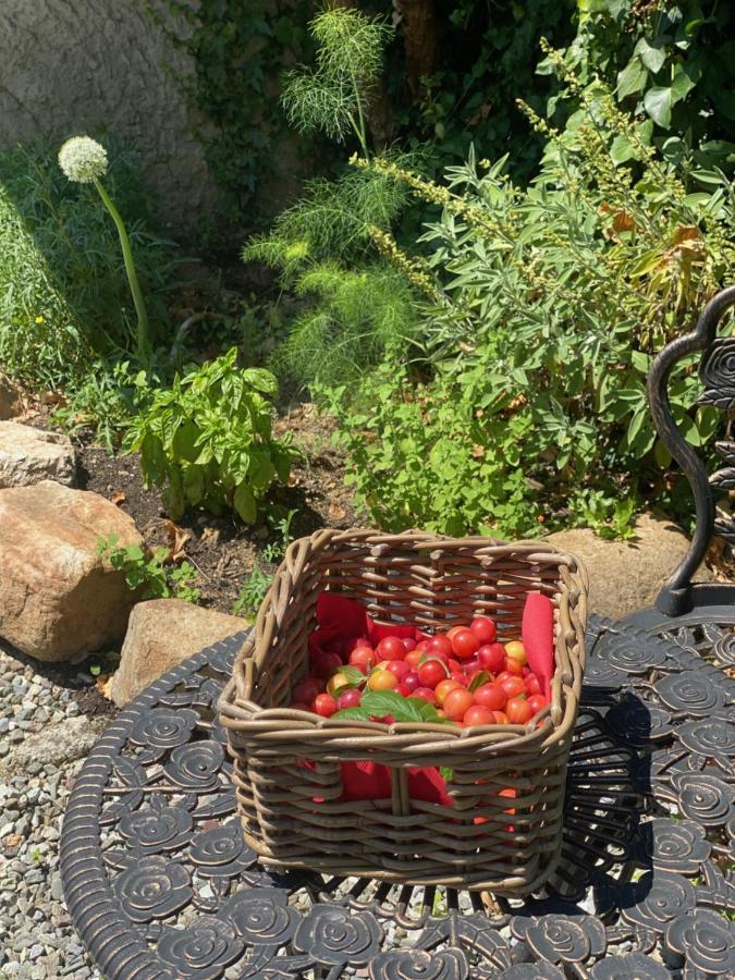 Dolce Vita In Tuscany Cottage Capannori Dış mekan fotoğraf