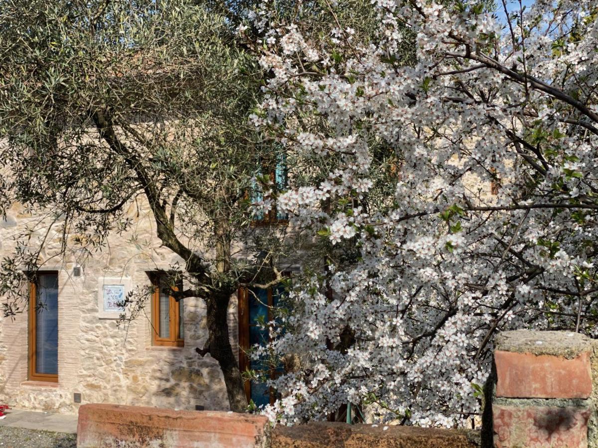 Dolce Vita In Tuscany Cottage Capannori Dış mekan fotoğraf