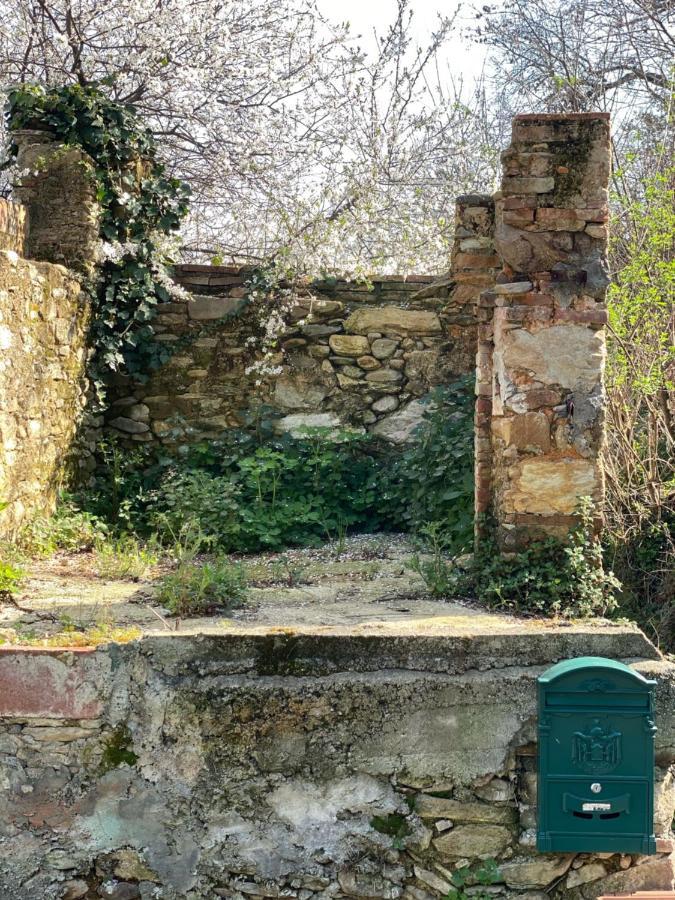 Dolce Vita In Tuscany Cottage Capannori Dış mekan fotoğraf