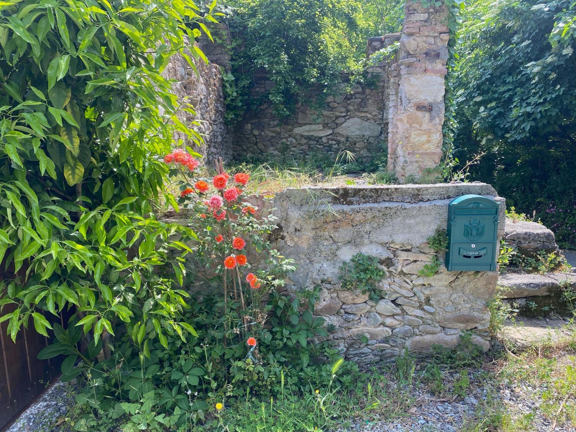 Dolce Vita In Tuscany Cottage Capannori Dış mekan fotoğraf