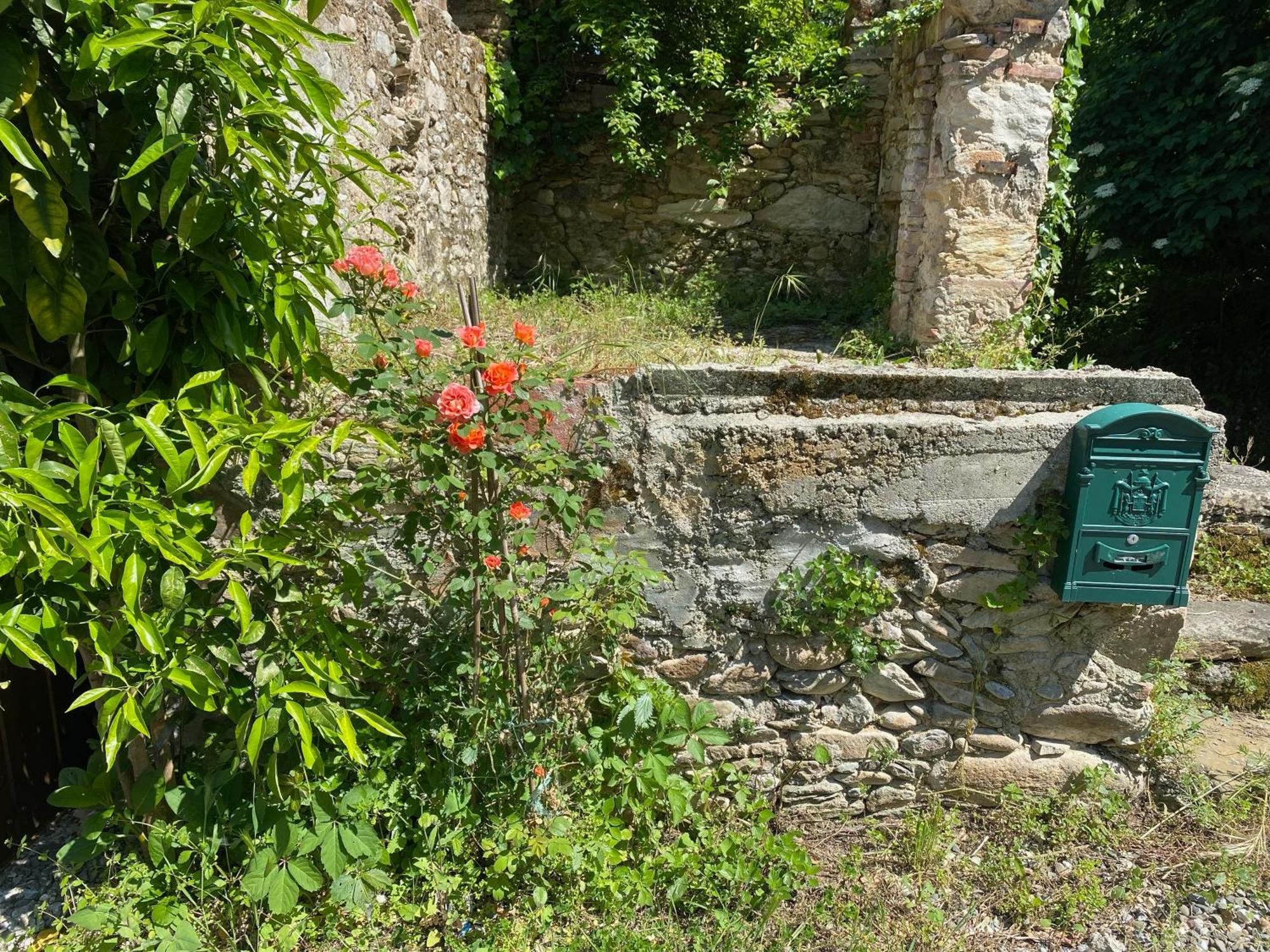 Dolce Vita In Tuscany Cottage Capannori Dış mekan fotoğraf